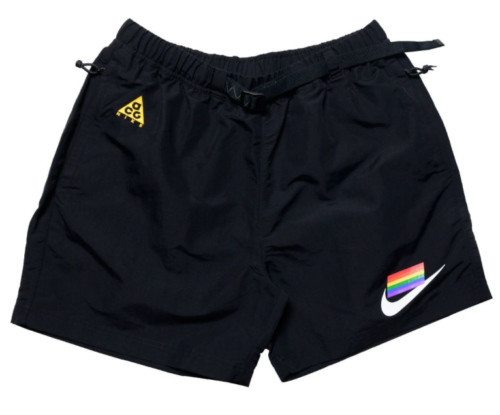 nike acg shorts 2.4
